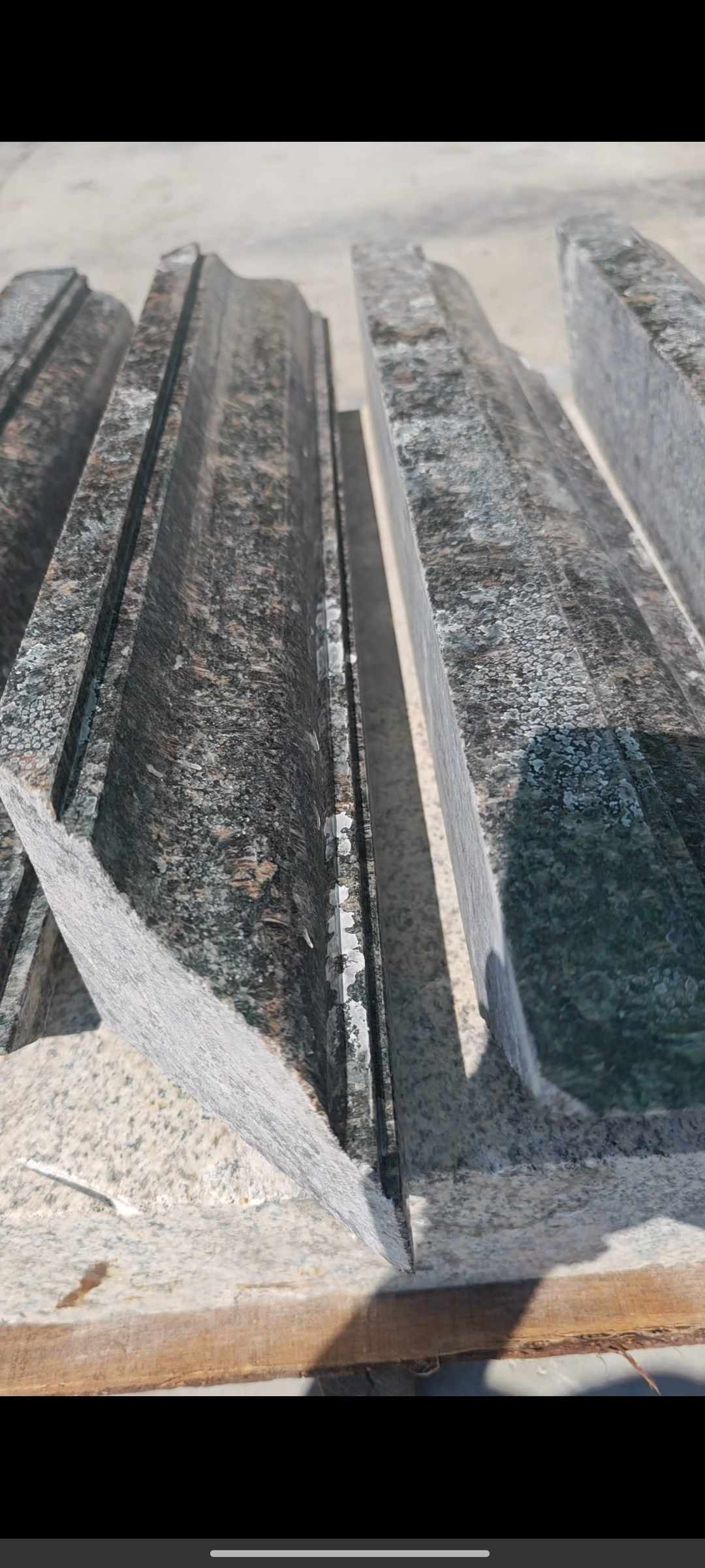 南充英国棕别墅线条